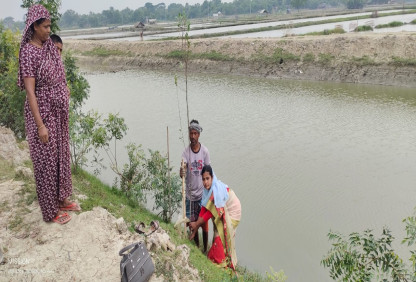 blog-image